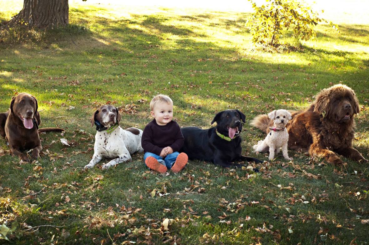 Kiddo and dogs