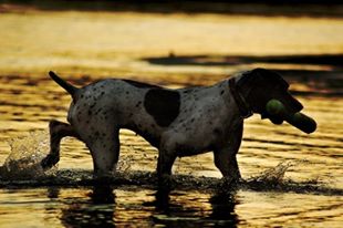 4642_656417262550_6284995_n