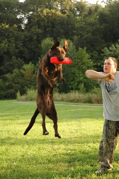 1923941_595005487240_998_n